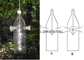 protocolo1-fig4.png